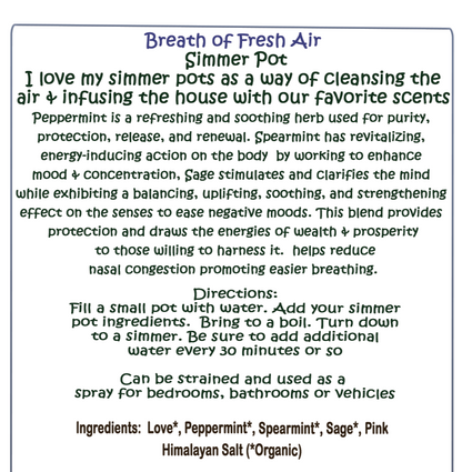 Breath of Fresh Air Simmer Pot - Natural Air Freshener - Southern Sol