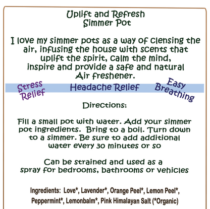 Uplift and Refresh Simmer Pot - Natural Air Freshener - Southern Sol