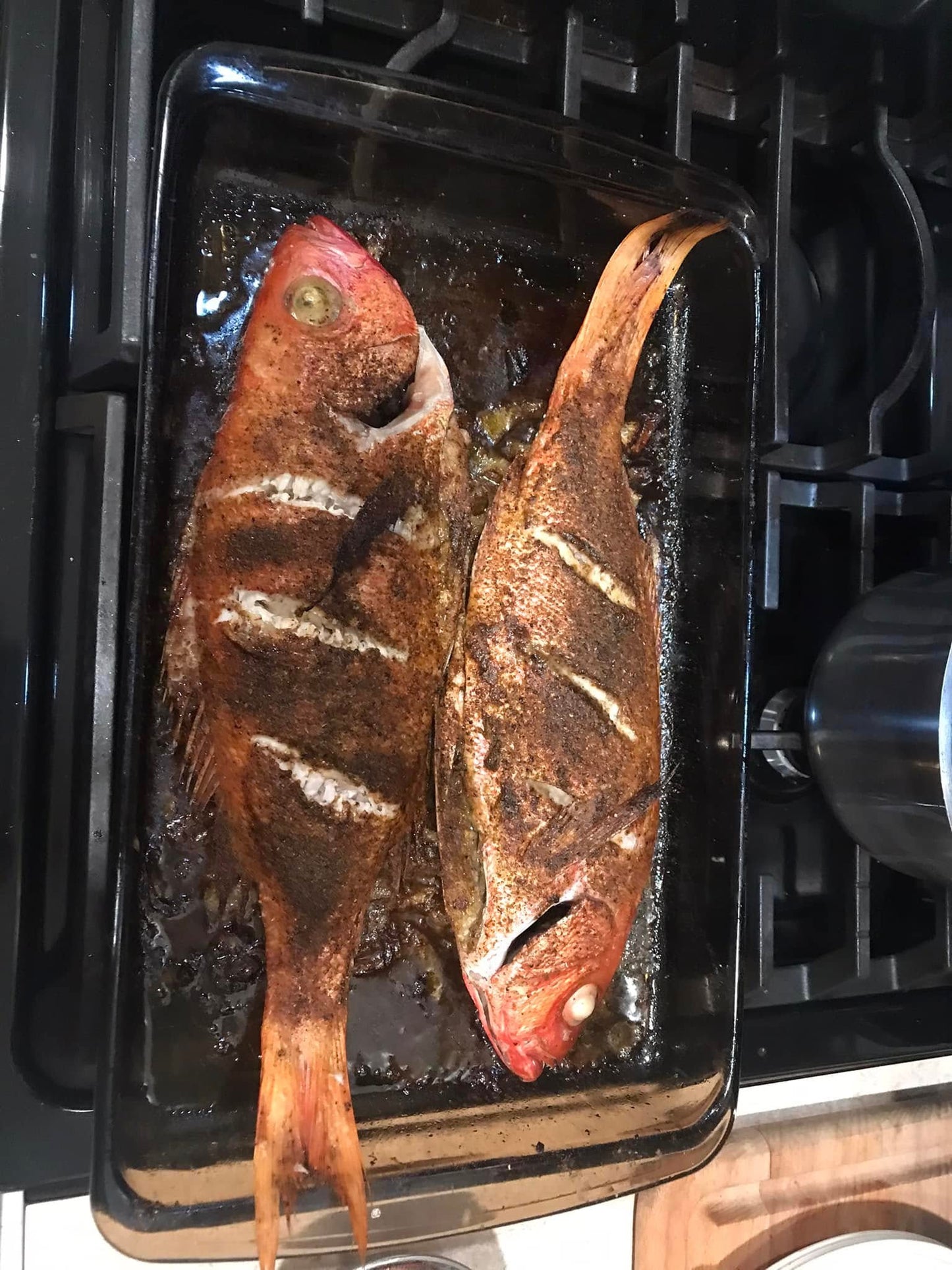 Un-Bay Leaf-Able - Bay Inspired Seasoning & Rub - Southern Sol